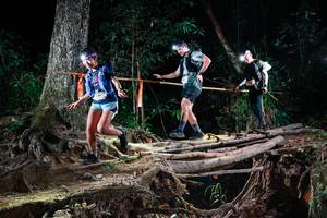 BIB: 
                            <button type="button" onclick="openModal(27380052)" class="btn btn-primary btn-sm float-right btn-popup" data-toggle="modal" data-target=".modal-high-quality">
                        <i class="fas fa-shopping-cart"></i> Add to Cart
                    </button>
                                            <button type="button" onclick="isThisMe(27380052, true)" class="btn btn-success btn-sm float-right btn-popup btn-isme hidden" data-toggle="tooltip" data-placement="bottom" title="นี่คือรูปของคุณใช่ไหม คลิกที่นี่เพื่อเอาเข้าอัลบั้ม">
                        <i class="fas fa-plus"></i> Add to album
                    </button>
                    <button type="button" onclick="isThisMe(27380052, false)" class="btn btn-warning btn-sm float-right btn-popup btn-isnotme hidden">
                        <i class="fas fa-ban"></i> Remove from album
                    </button>